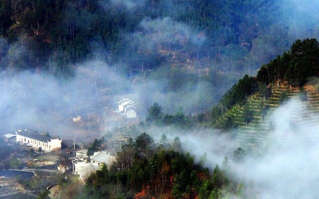 拼多多补单软件