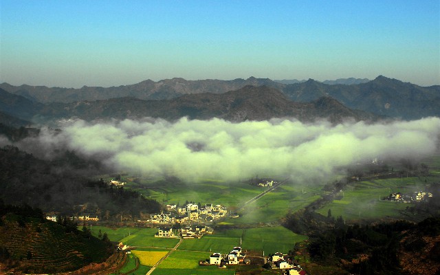 拼多多补单软件