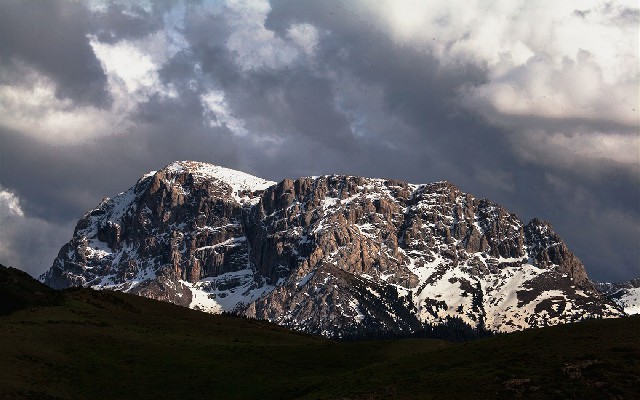 拼多多补单软件