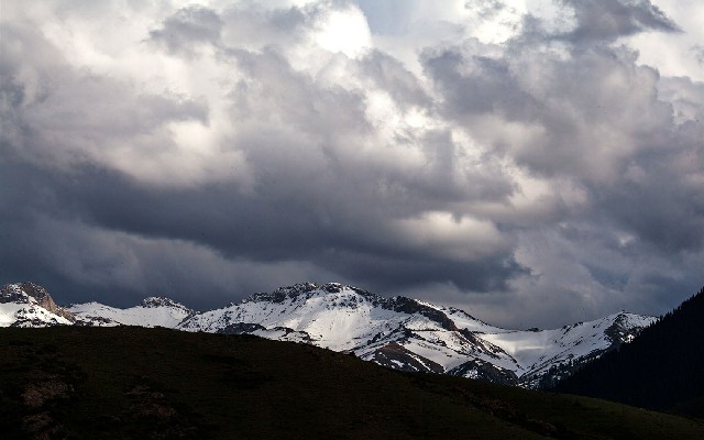 拼多多补单软件