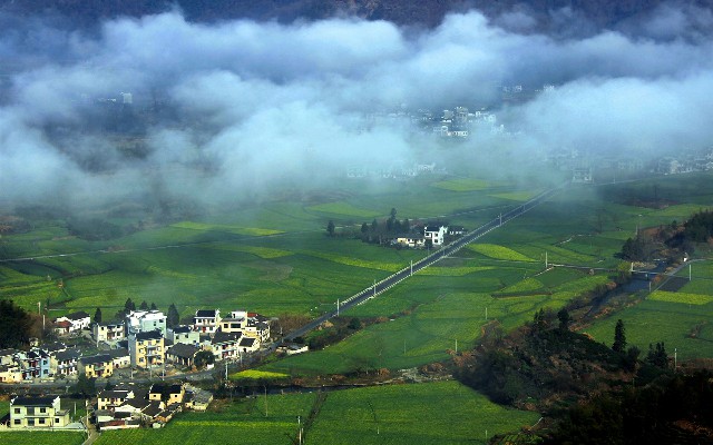 拼多多补单软件