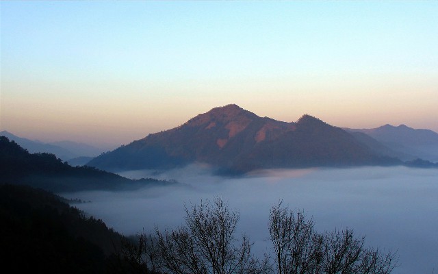 拼多多补单软件