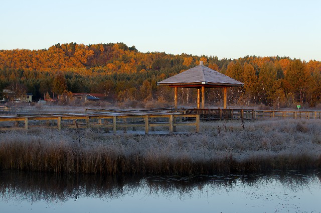 拼多多补单软件