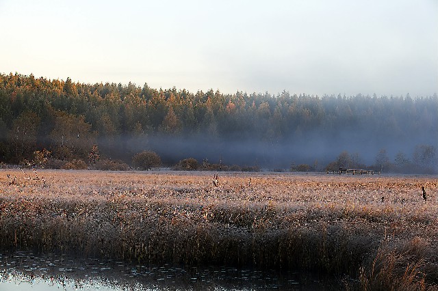 拼多多补单软件