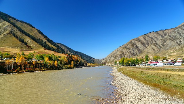 拼多多补单软件