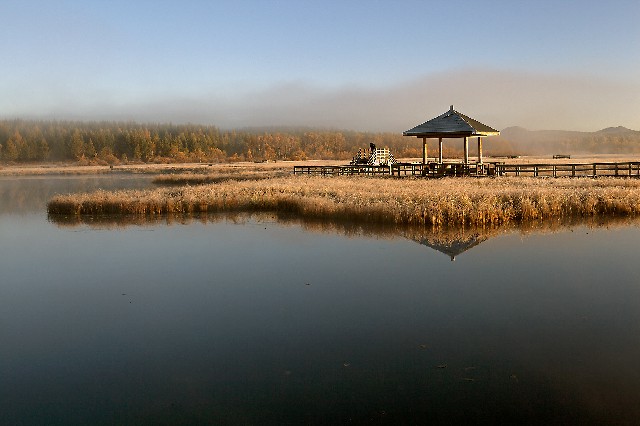 拼多多补单软件