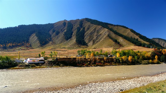 拼多多补单软件