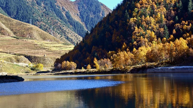 拼多多补单软件