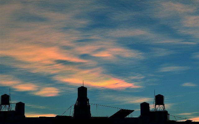 拼多多补单软件