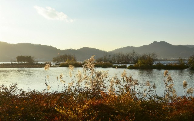 拼多多补单软件