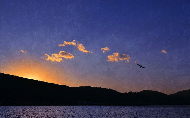 拼多多补单软件