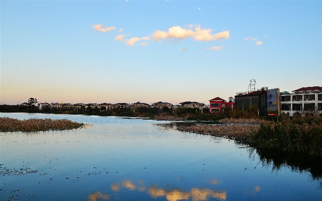 拼多多补单软件