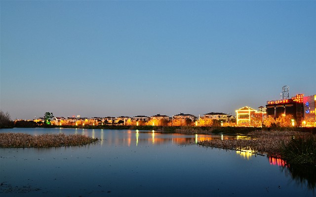 拼多多补单软件