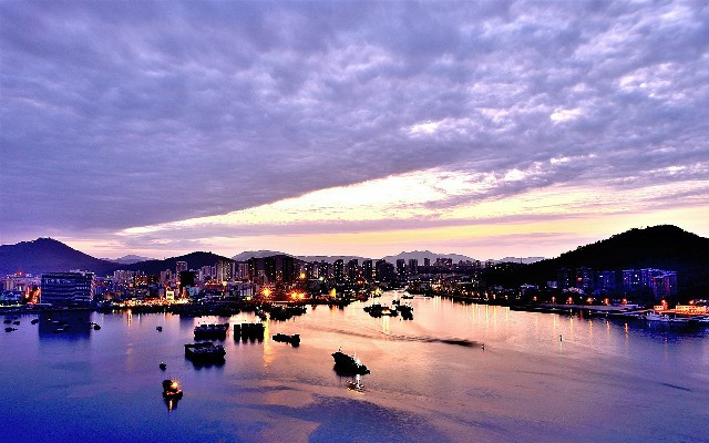 拼多多补单软件