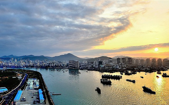 拼多多补单软件