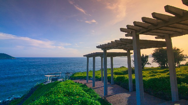 拼多多补单软件