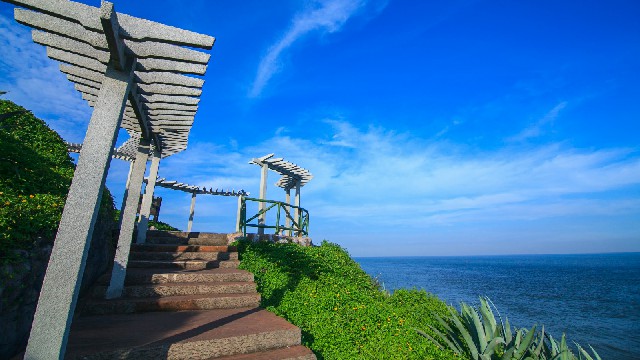 拼多多补单软件