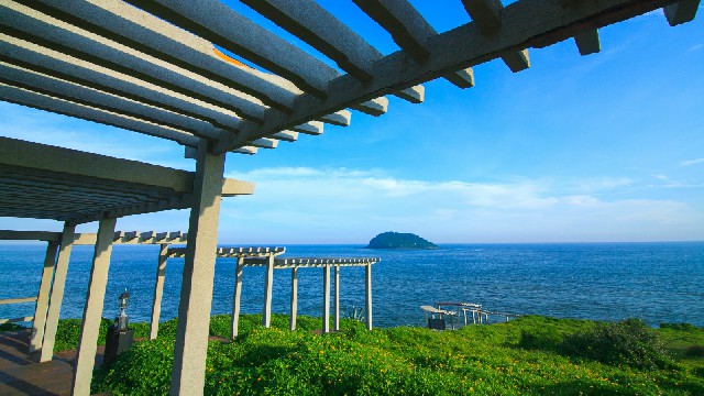 拼多多补单软件