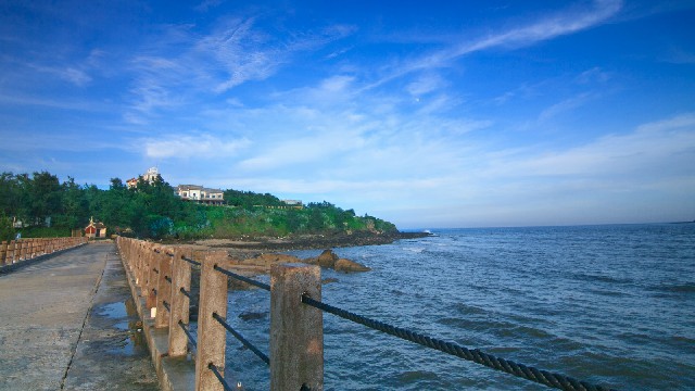 拼多多补单软件