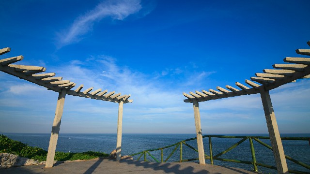 拼多多补单软件