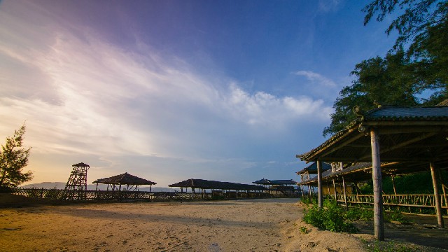 拼多多补单软件