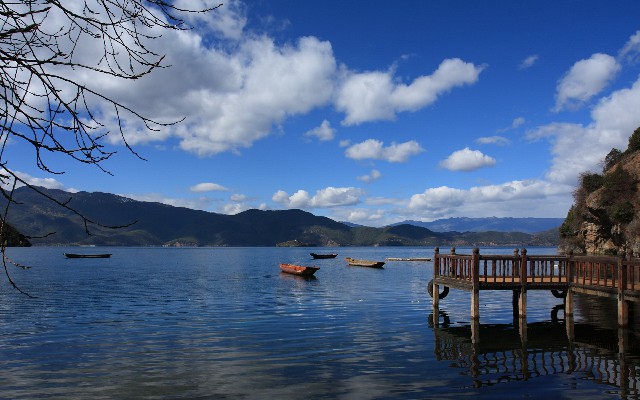 拼多多补单软件