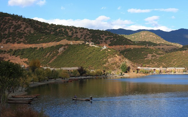 拼多多补单软件