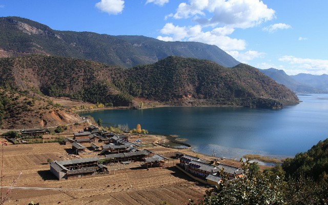 拼多多补单软件