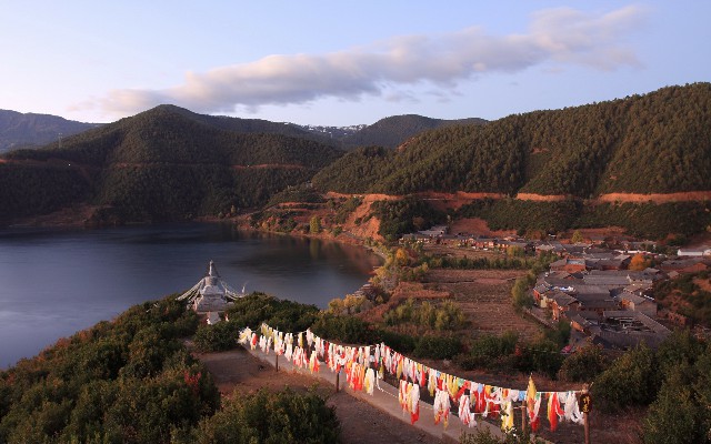 拼多多补单软件