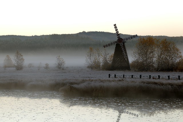 拼多多补单软件