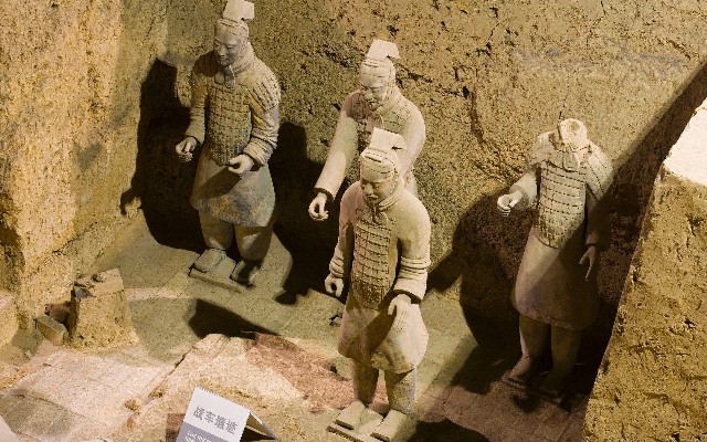 拼多多补单软件