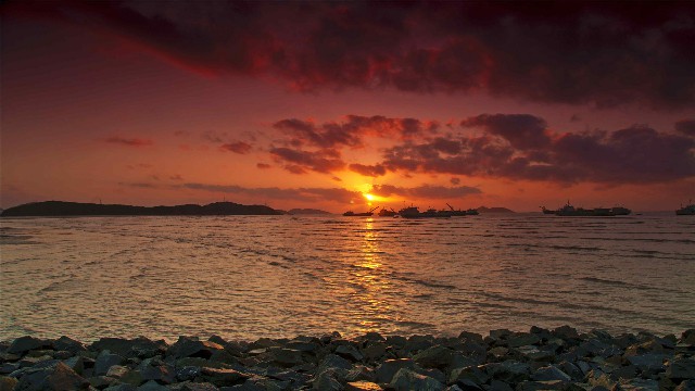 拼多多补单软件