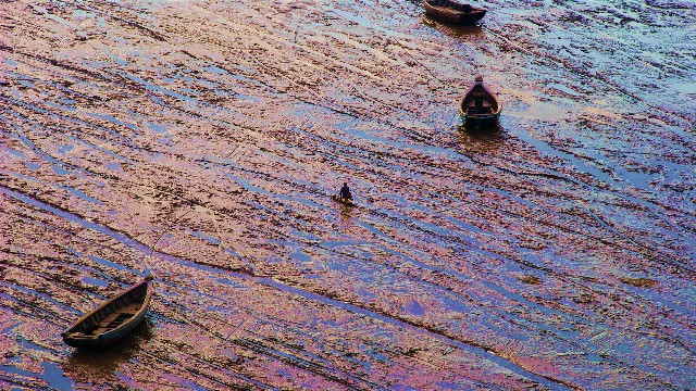 拼多多补单软件