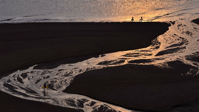 拼多多补单软件