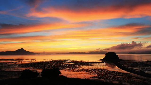 拼多多补单软件