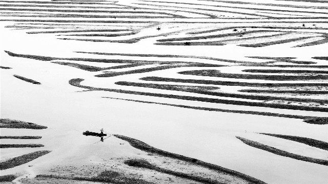 拼多多补单软件