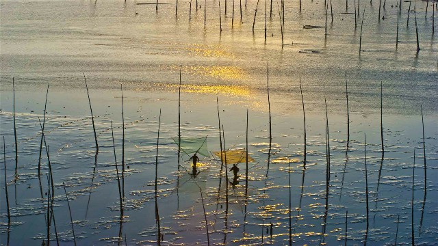 拼多多补单软件