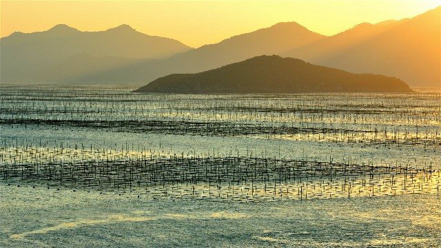 拼多多补单软件