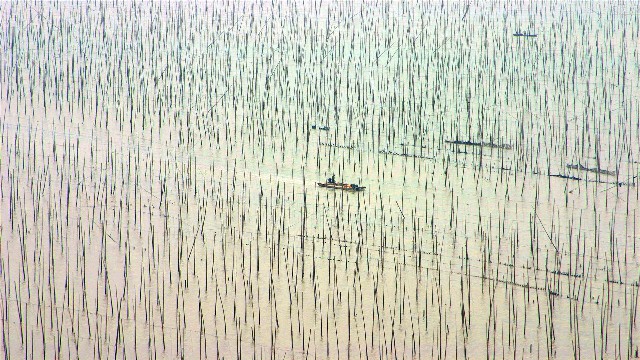 拼多多补单软件