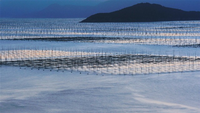 拼多多补单软件