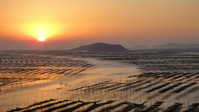 拼多多补单软件