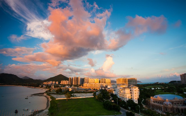 拼多多补单软件