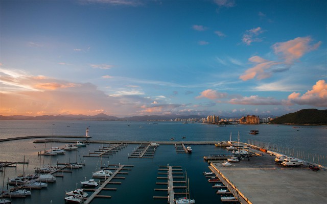 拼多多补单软件