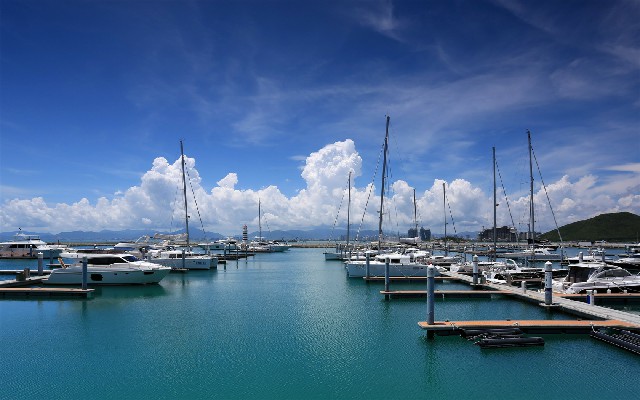 拼多多补单软件