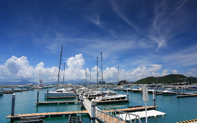 拼多多补单软件