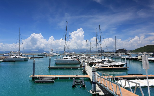 拼多多补单软件