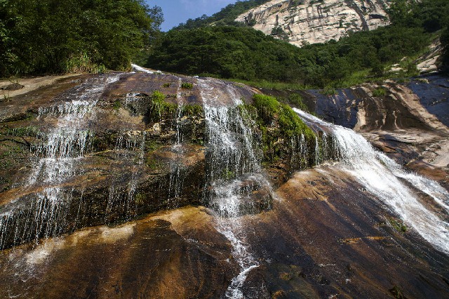 拼多多补单软件