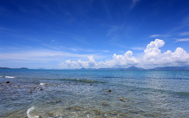 拼多多补单软件