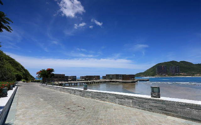 拼多多补单软件