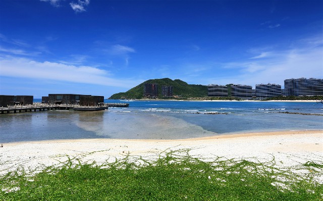 拼多多补单软件